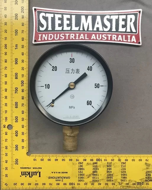 Pressure Gauge 100mm 0-60MPa for SM-MDY Range Press (No02290087)