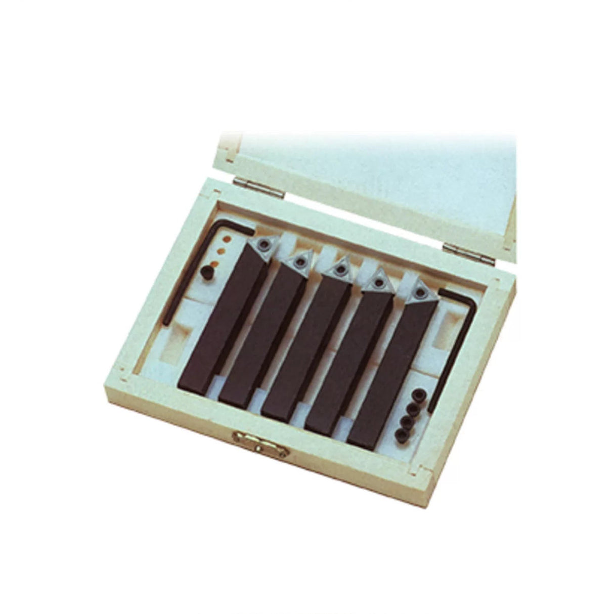 Replacement Tip Set, 5-Piece for 10mm Indexable Tools