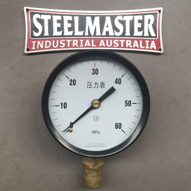 Pressure Gauge 100mm 0-60MPa for SM-MDY Range Press (No02290087)